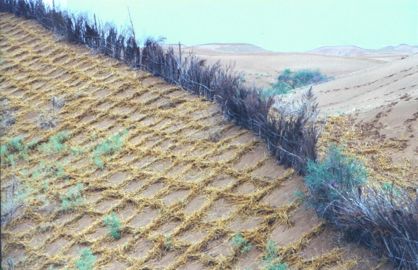Sand control checkerboard