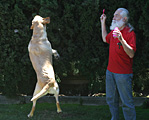 Aug. 13, 2006