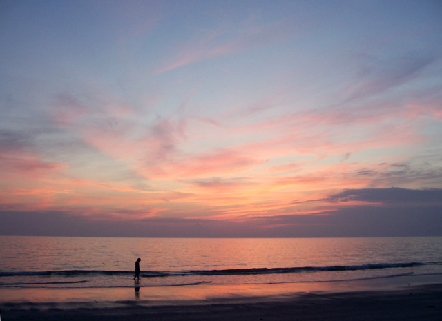 Gulf coast of Florida, 2008