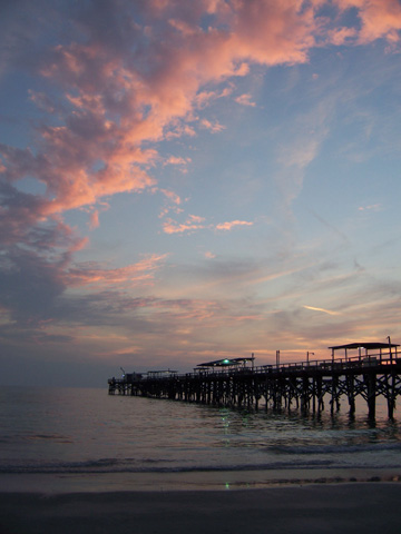 Gulf coast of Florida, 2008