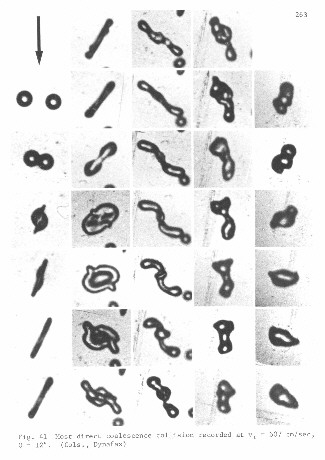 Fig. 41 - coalescence