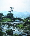May 1958