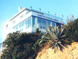 Salema