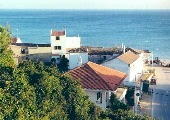 Salema