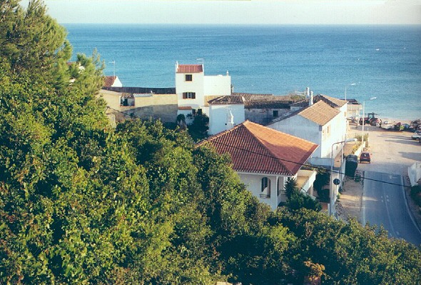 Salema
