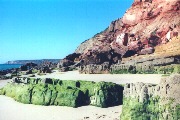 Salema
