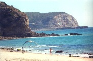 Salema
