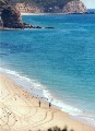 Salema