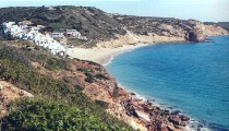 Salema