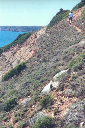 Salema