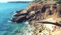 Salema