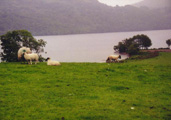 Loch Lohman