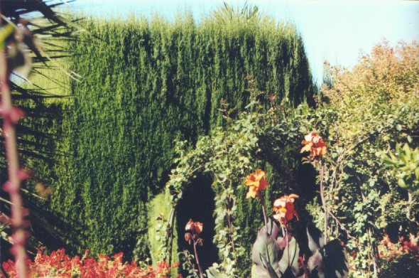 The Alhambra's Generalife Gardens