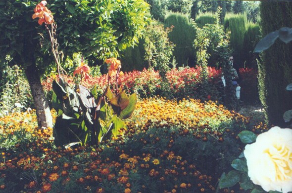 The Alhambra's Generalife Gardens