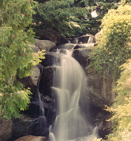 Arboretum Falls, Minnesota