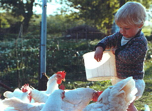 Spring 1977