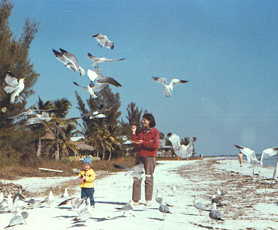 Dec. 1977, Sanibel Island, FL